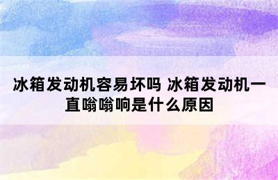 冰箱发动机容易坏吗 冰箱发动机一直嗡嗡响是什么原因